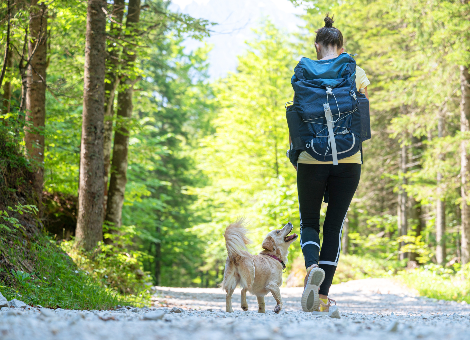 The Power of Acceptance in Recovery