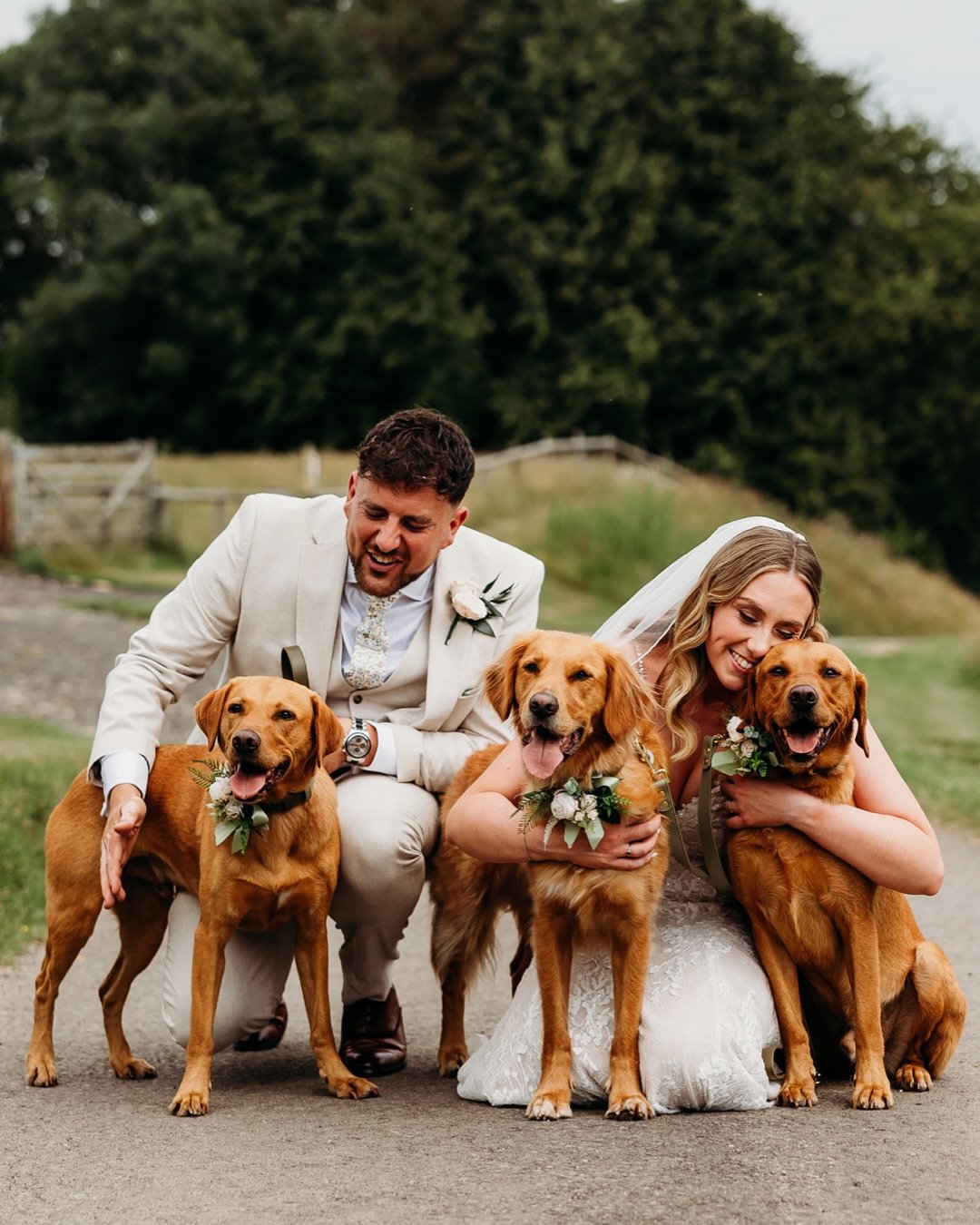 Huge congrats to Sam + Kate! (&amp; Ralf, Ron &amp; Rupert!)
What a day, what a vibe. So much fun to capture their wedding day yesterday at @kingscotebarn! 

Shoutout to all these incredible suppliers that helped make this day so epic 👇

Photography