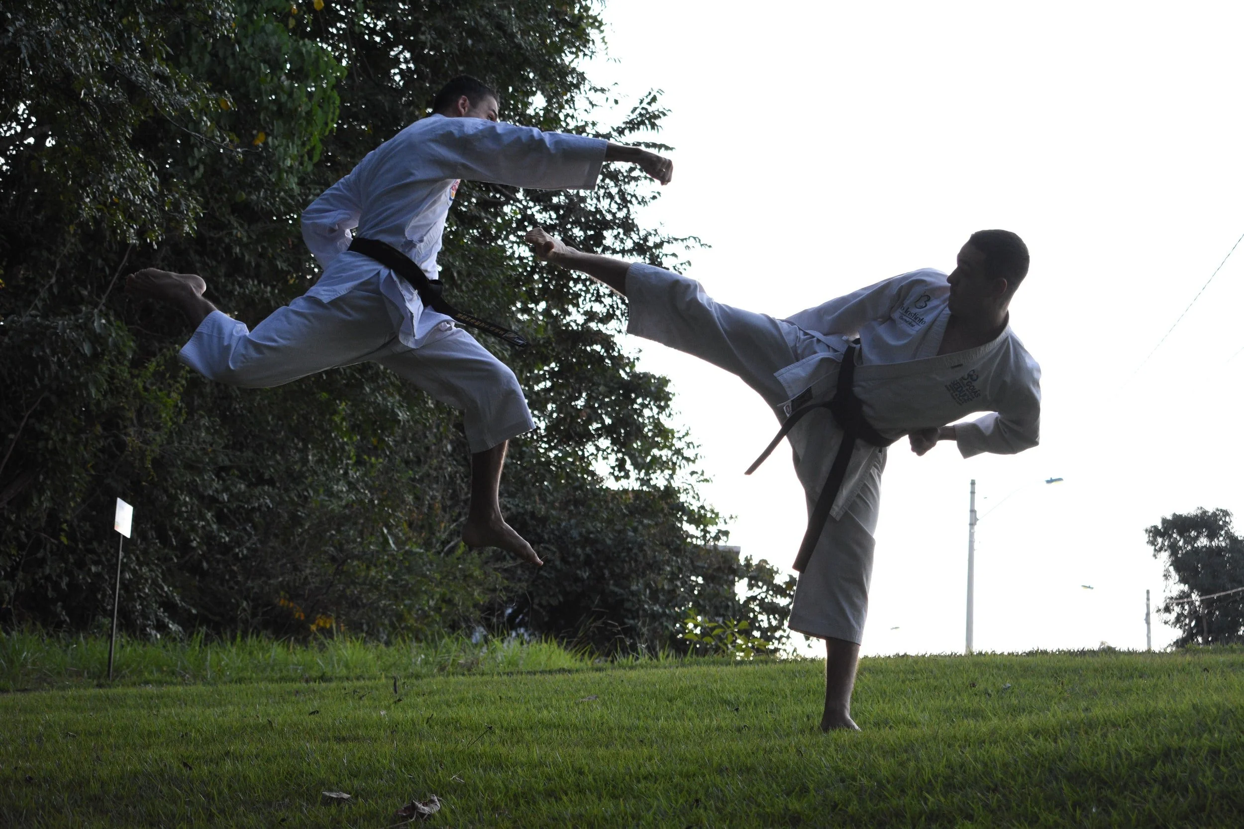 Cobra Kai Never Dies But Miyagi-Do Are Way Less Likely to Get Sick!