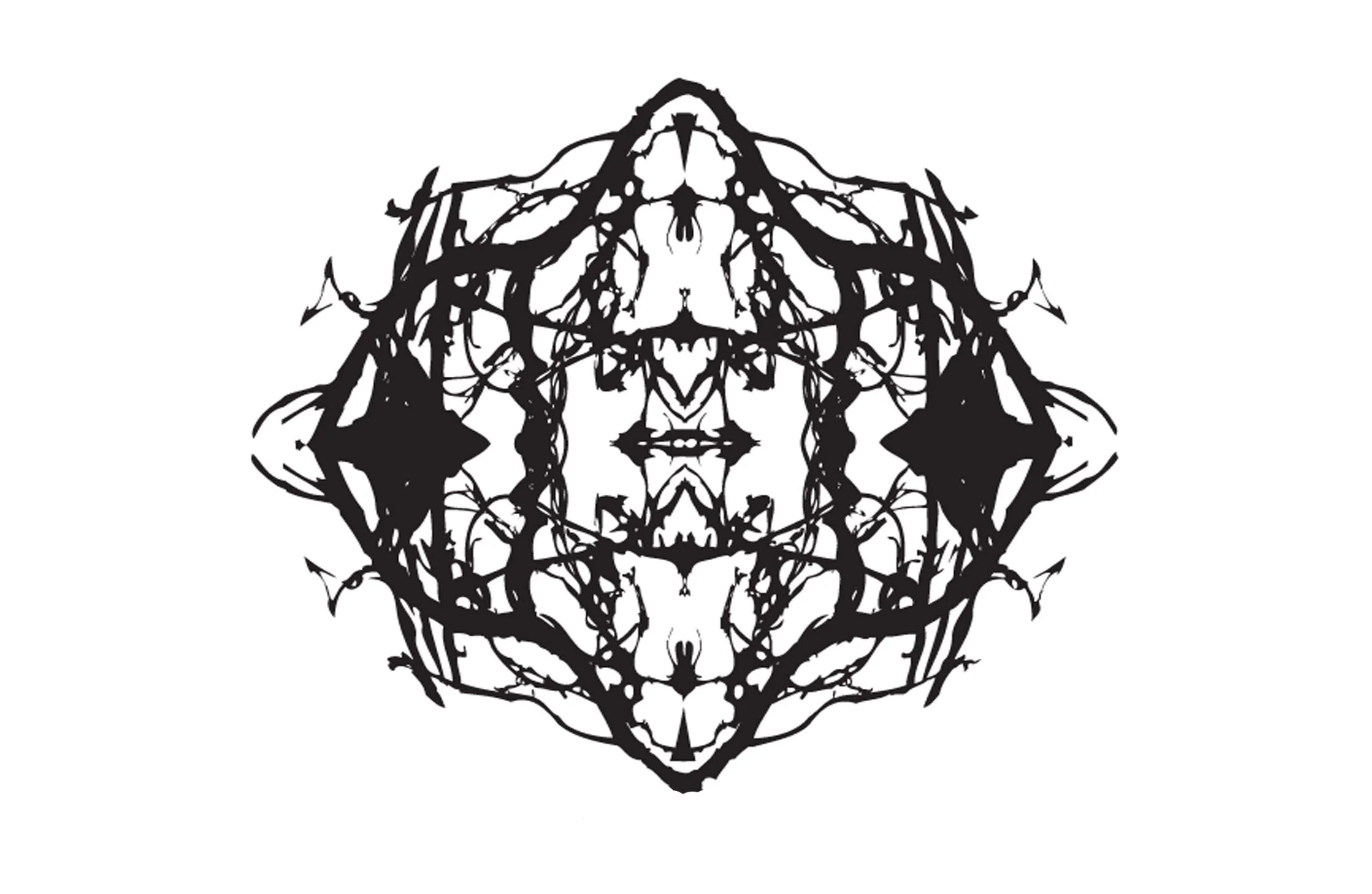 2silk.jpg