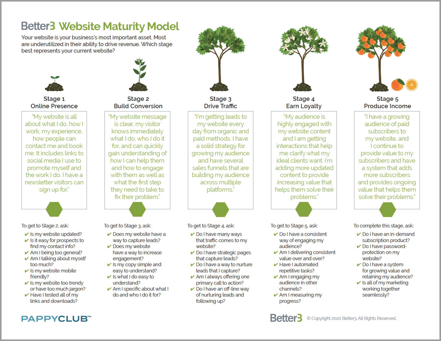 Click image to view Website Maturity Model PDF