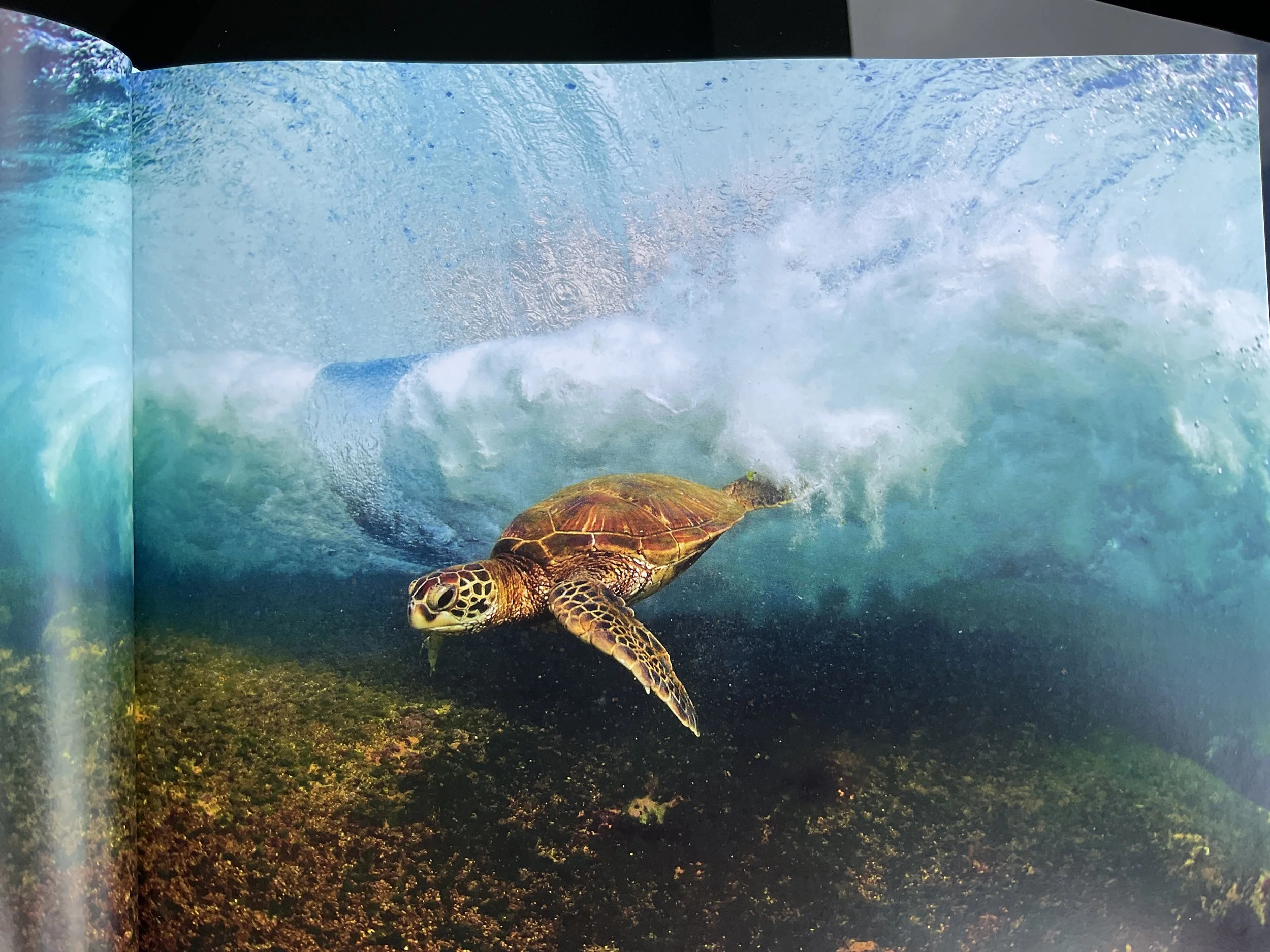 Clark Little's photo inspiration