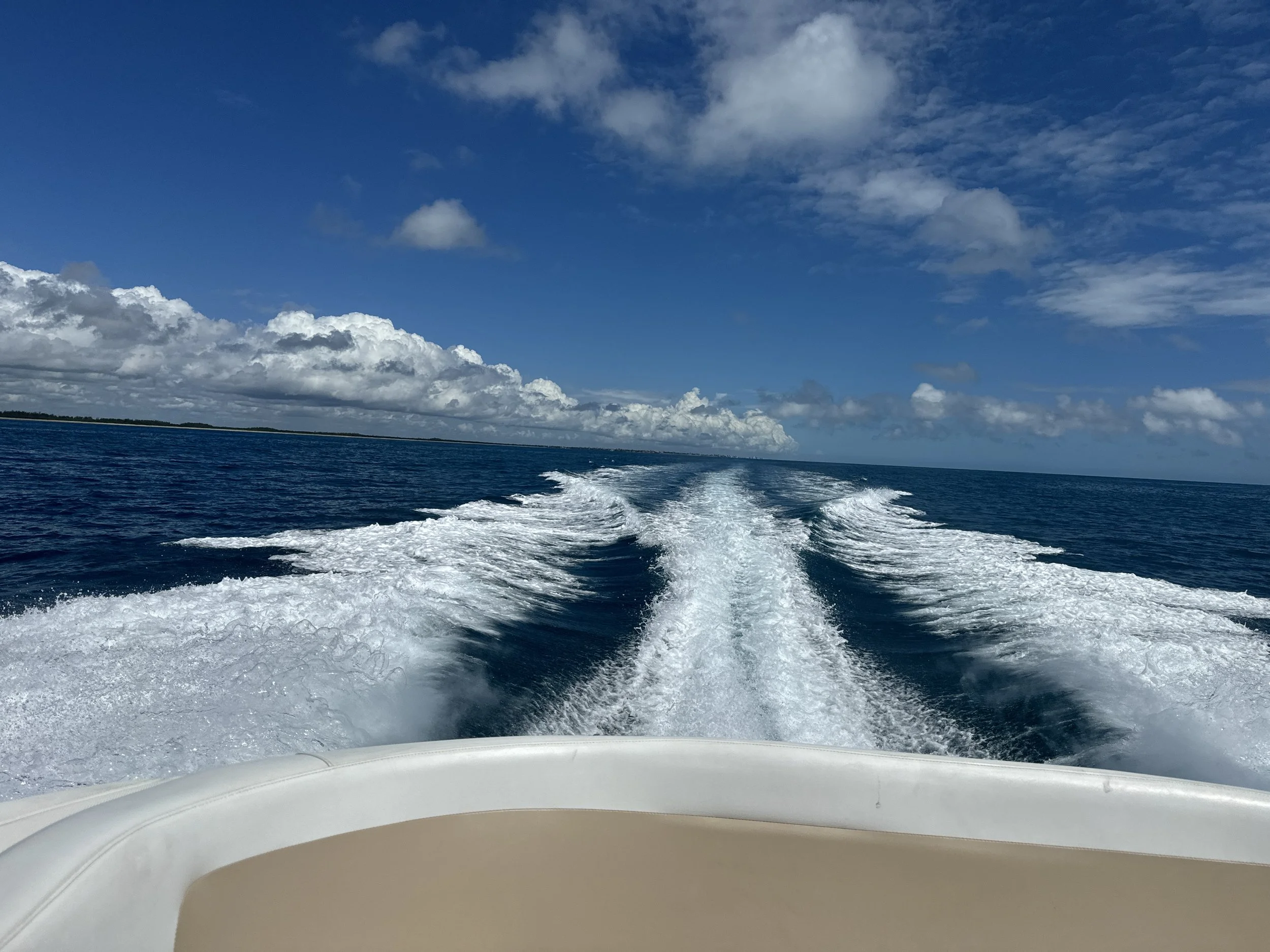 Beautiful conditions