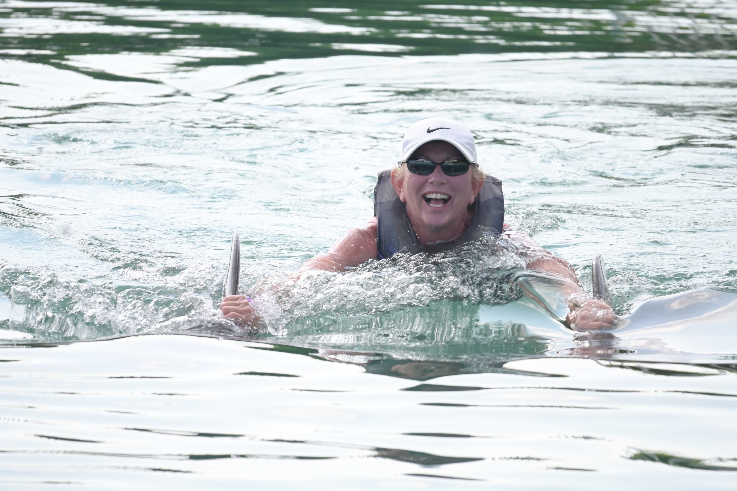 Dolphin encounter: amazing