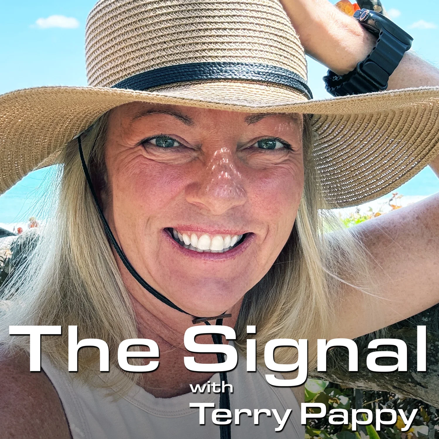 The Signal podcast artwork