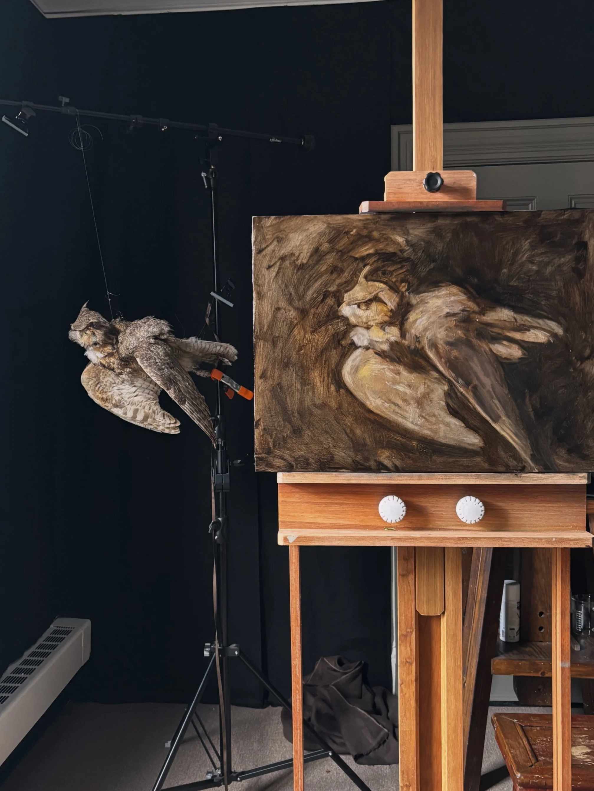 Sight size study