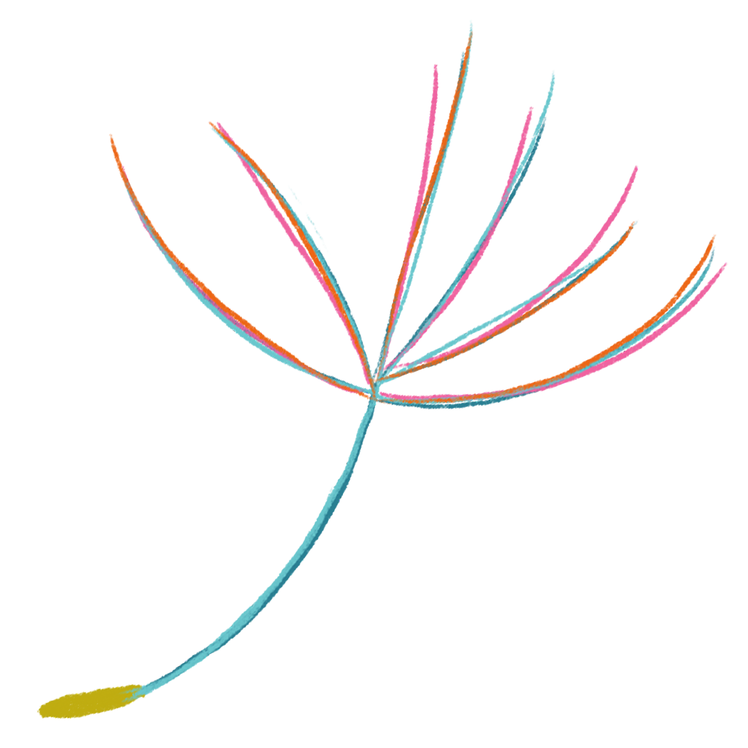 What's An Abortion, Anyway?