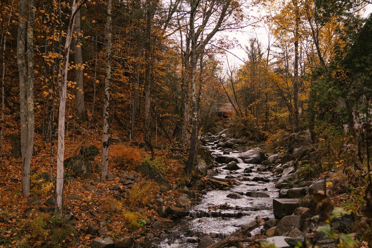 brook haven.jpg