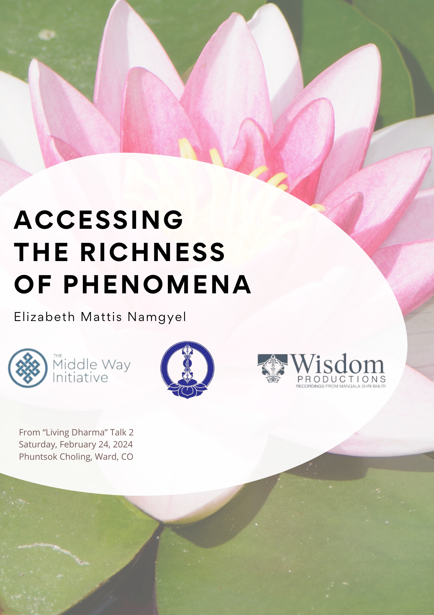 Accessing the Richness of Phenomena
