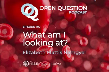 Episode 702: What Am I Looking At?