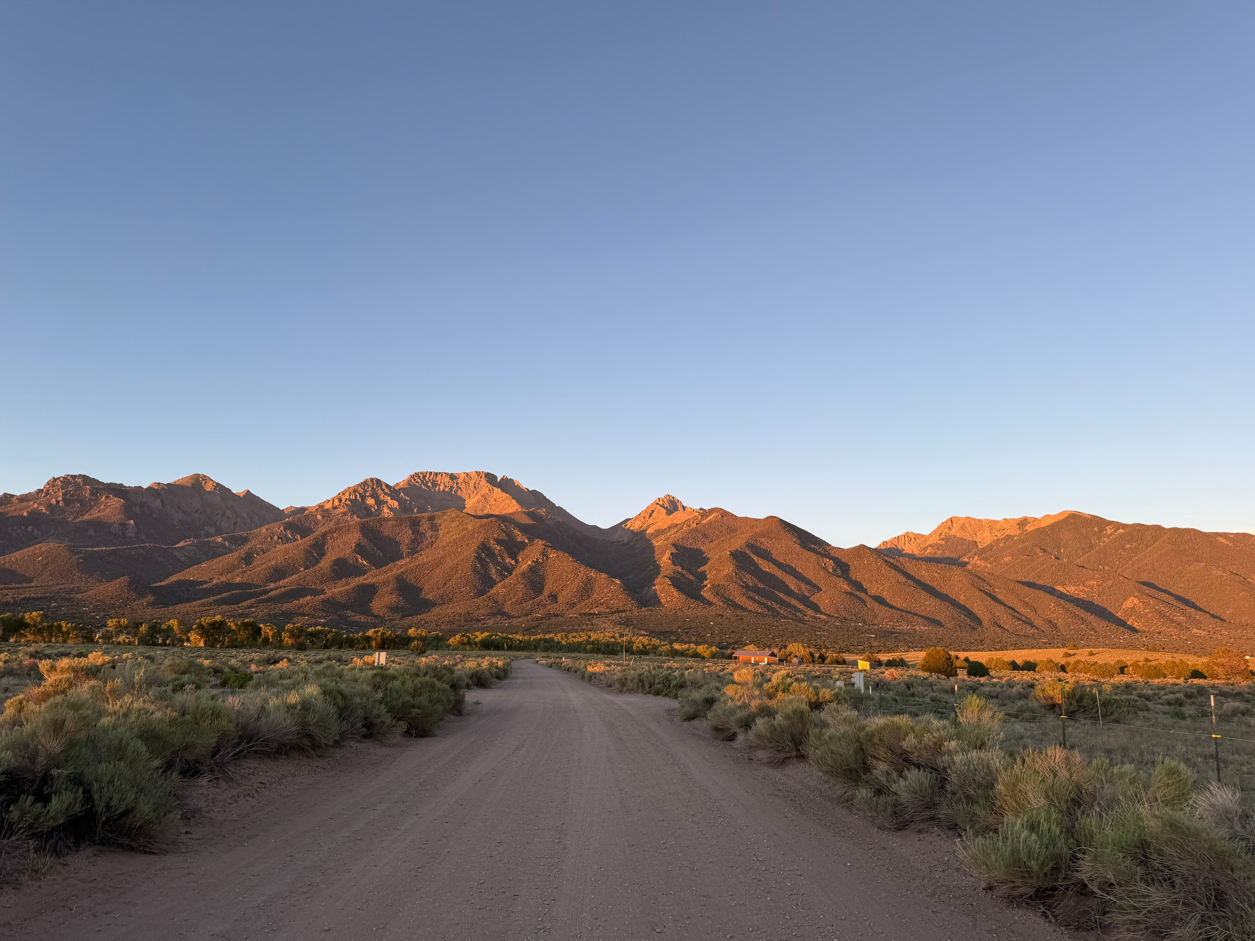 The Middle Way Initiative Newsletter:July 2026  