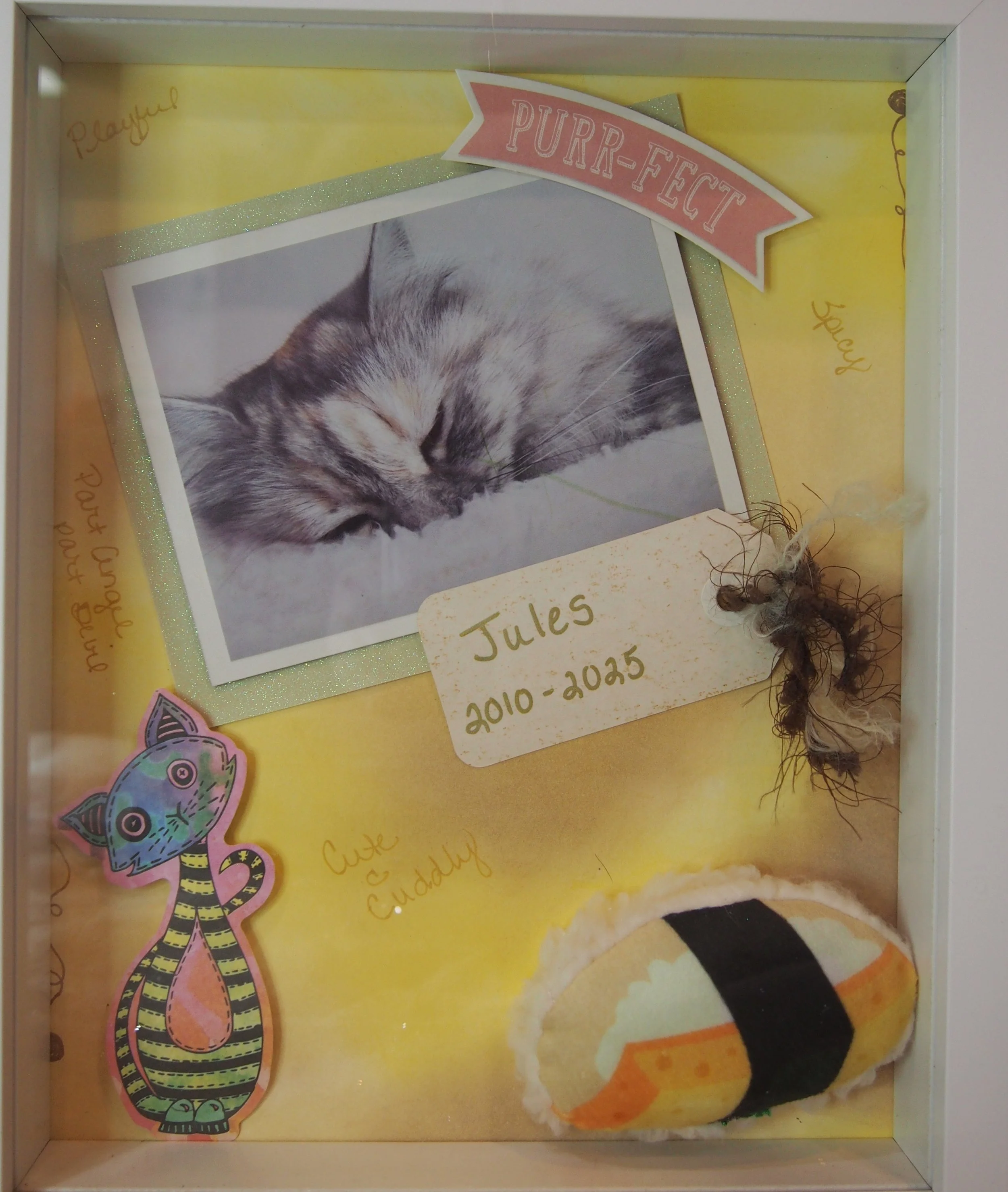 Kitty box closeup.JPG (Copy)