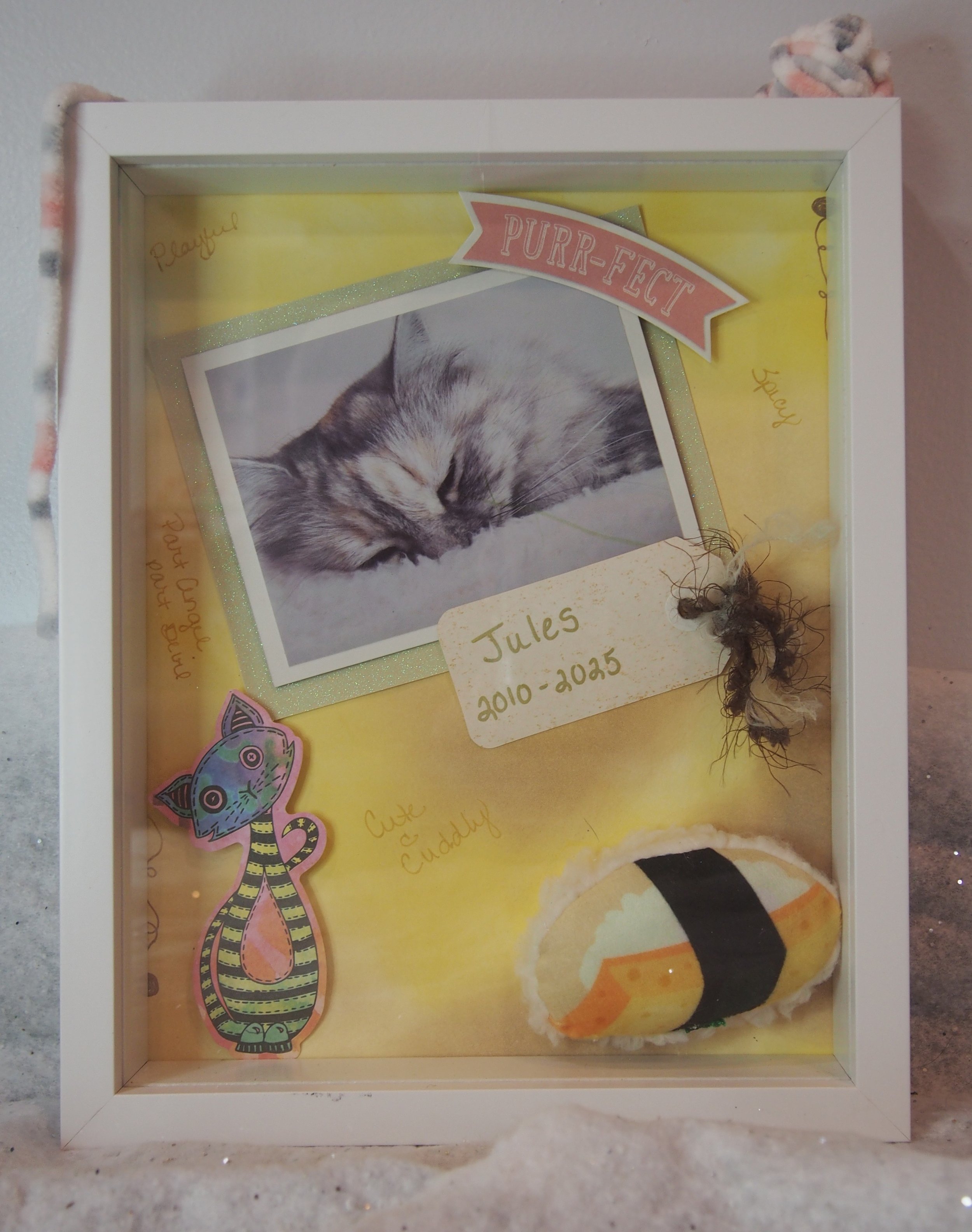 Kitty box front.JPG (Copy)