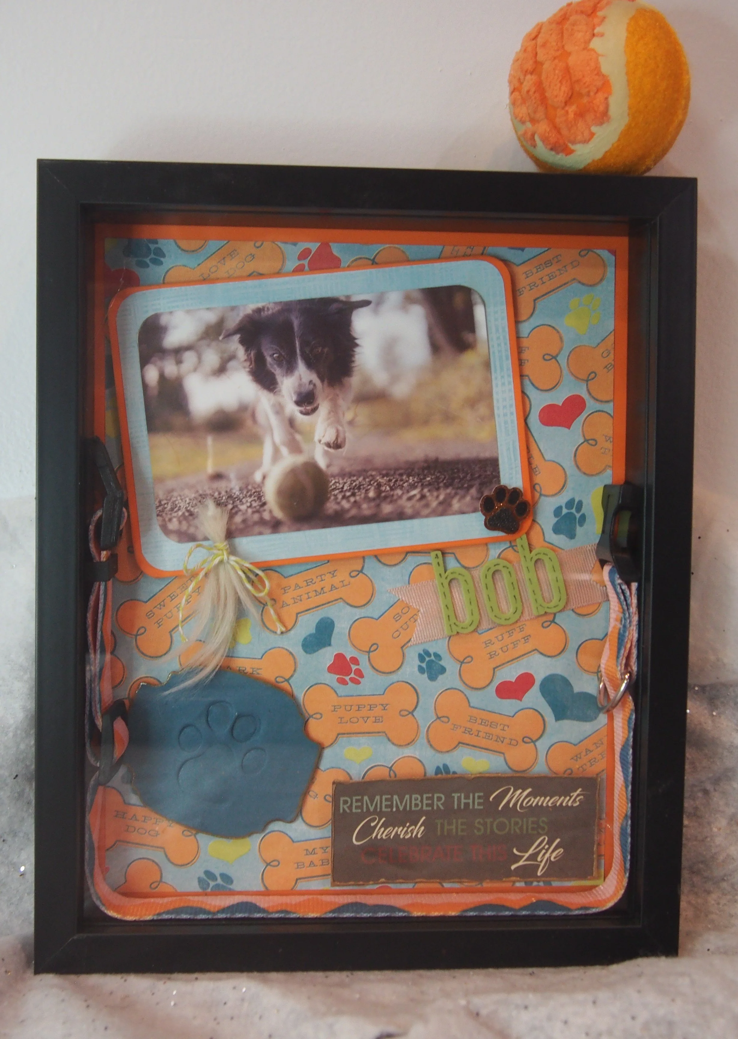 Celebration Box 8x10