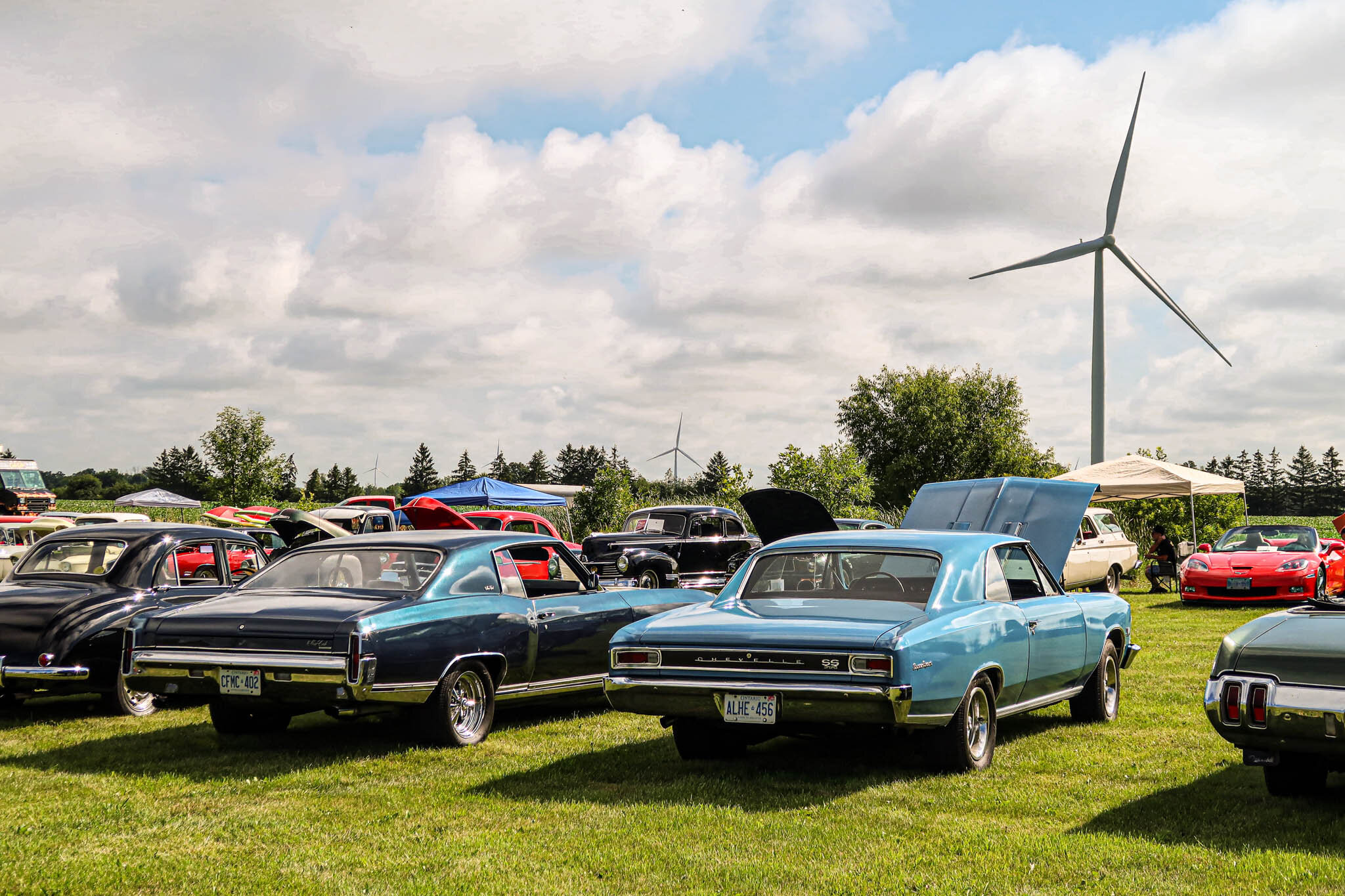 COTTONWOOD'S CLASSIC CAR SHOW
August 5th, 2023
We are getting excited about our biggest upcoming event of the year, Cottonwood's Classic Car Show! Come out to see some awesome vintage and classic cars and win some amazing prizes. This event big inclu