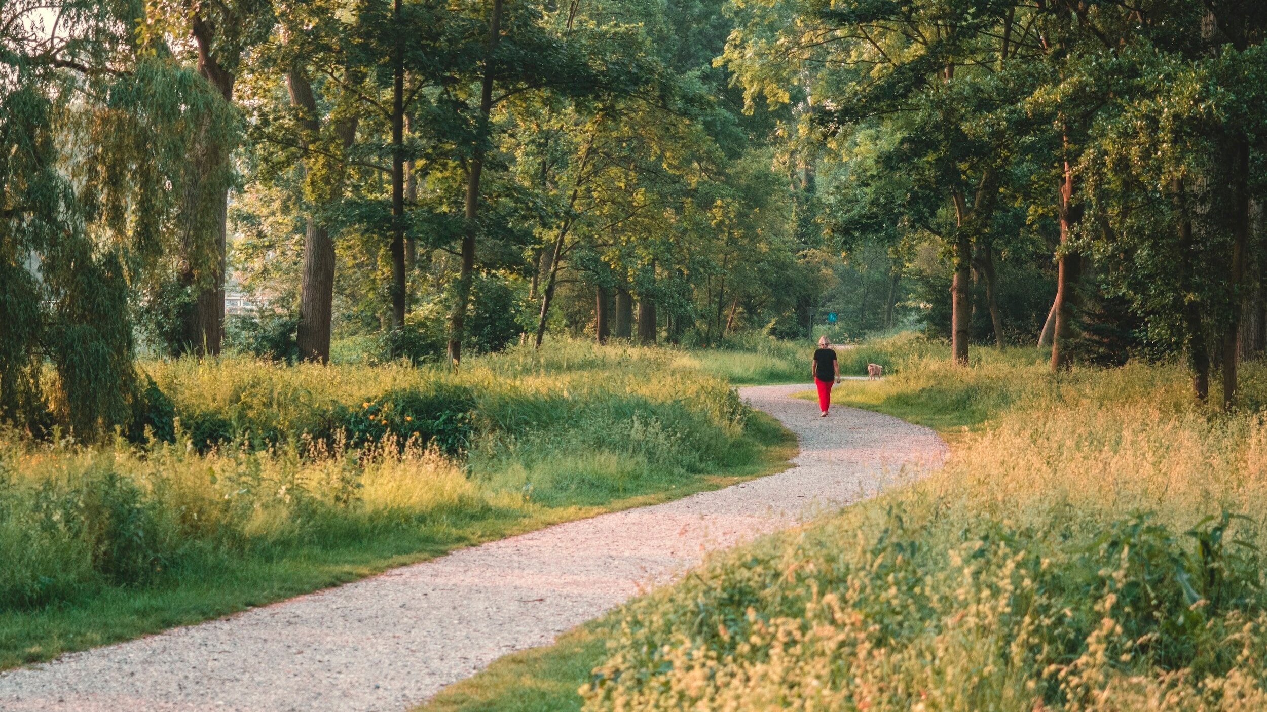 Maximise your lunch break: How remote workers can relax, unwind, and elevate productivity
