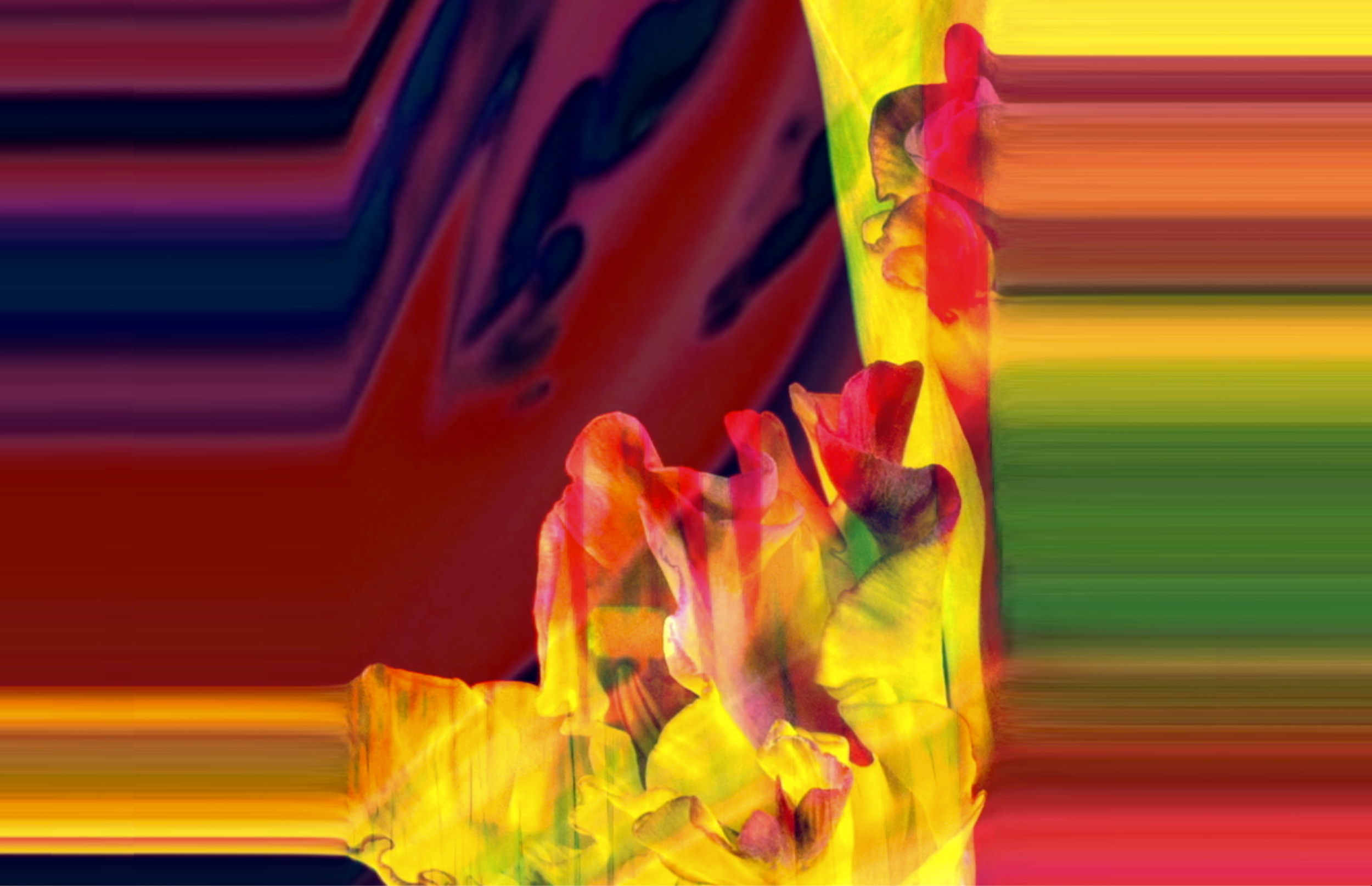 Let in Let go 2.png