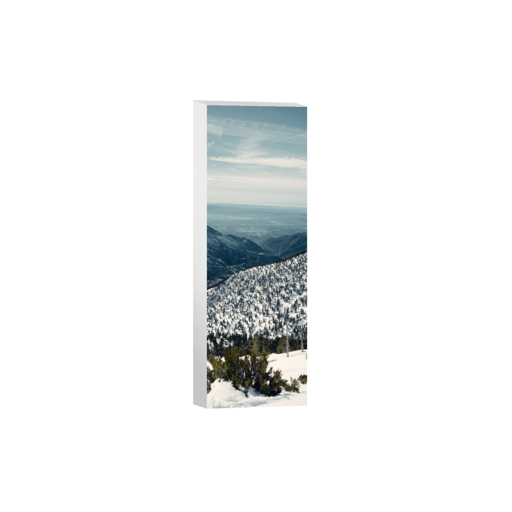 canvas_rectangle1_3_466_0_2860_8582_0_false_ffffff_0_0.png