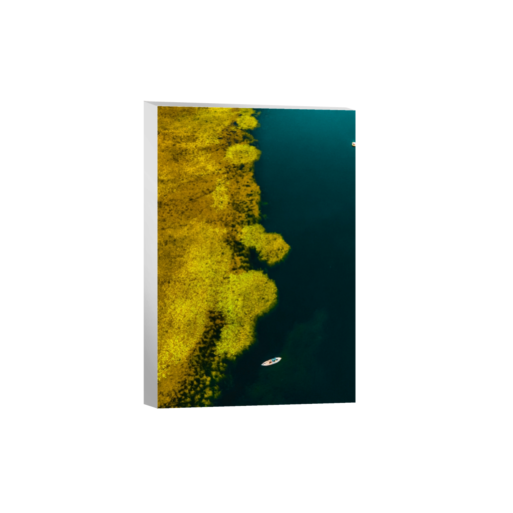 canvas_rectangle2_3_150_0_1500_2250_0_false_ffffff_0_0.png