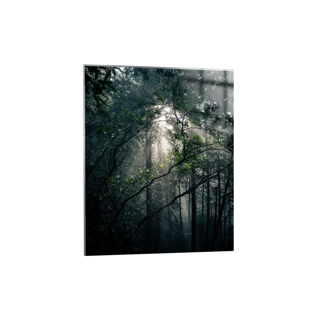 metalprint_rectangle4_5_0_520_4160_5200_0_false_ffffff_0_0.png