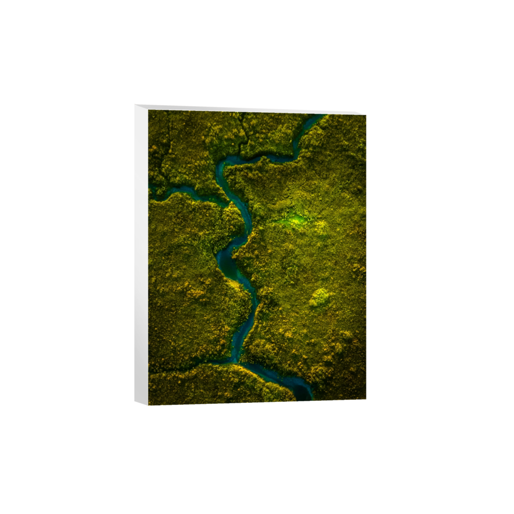 canvas_rectangle3_4_47_0_1423_1898_0_false_ffffff_0_0.png