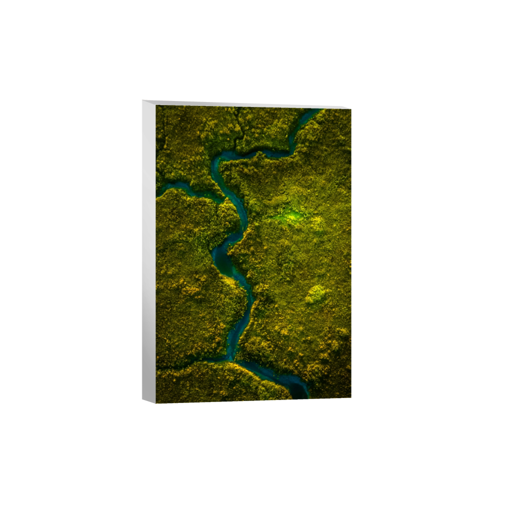 canvas_rectangle2_3_126_0_1265_1898_0_false_ffffff_0_0.png