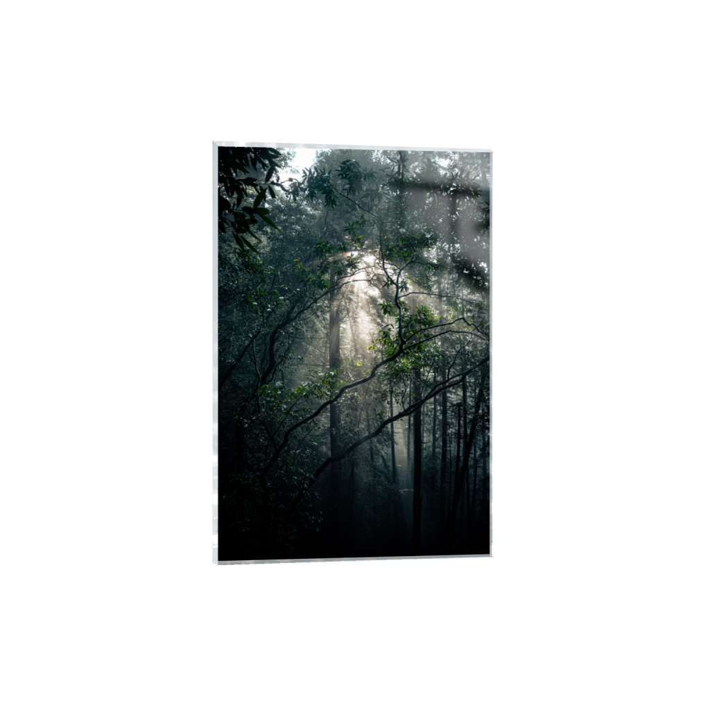 acrylicprint_rectangle2_3_0_0_4160_6240_0_false_ffffff_0_0.png