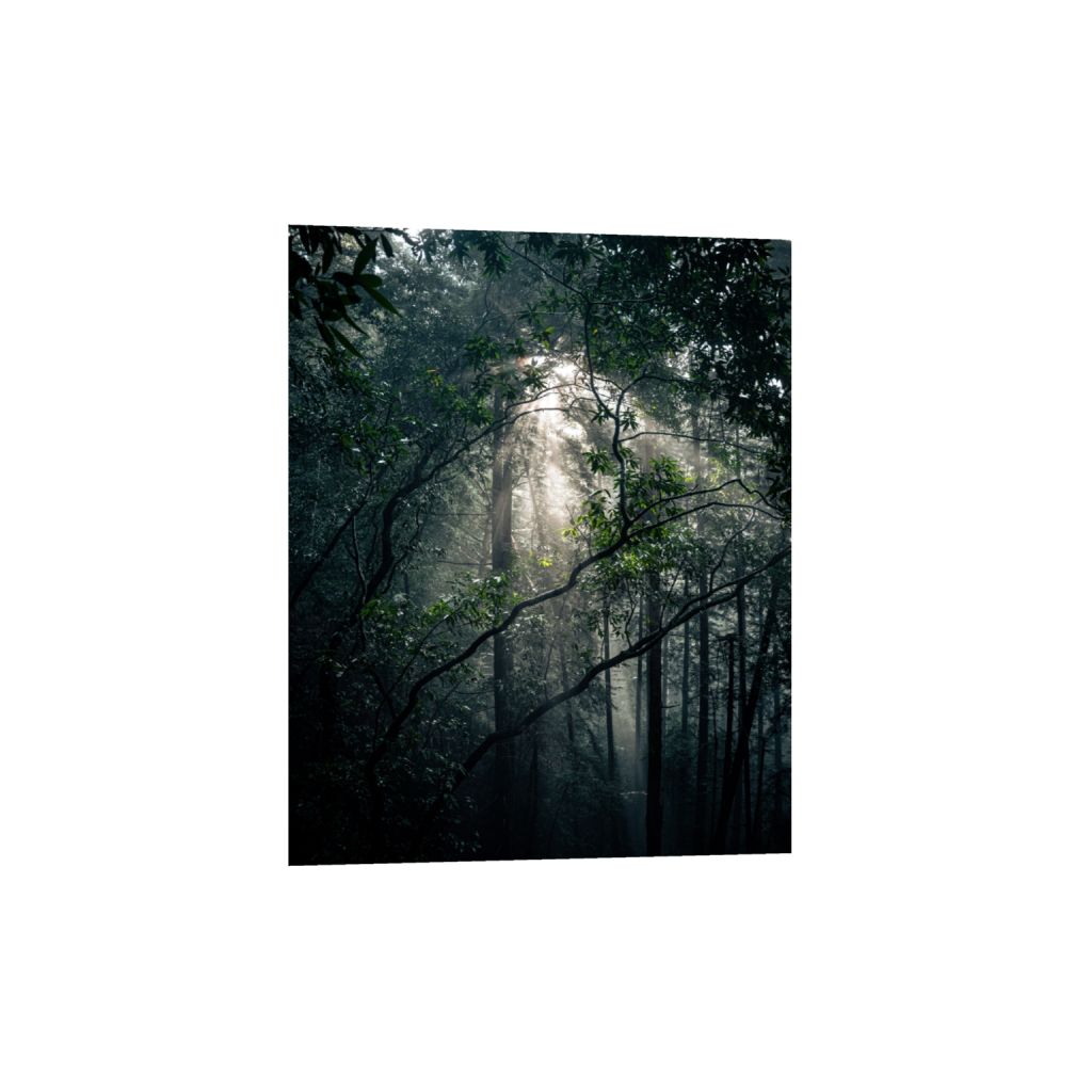 fineartprints_rectangle4_5_0_520_4160_5200_0_false_ffffff_0_0.png