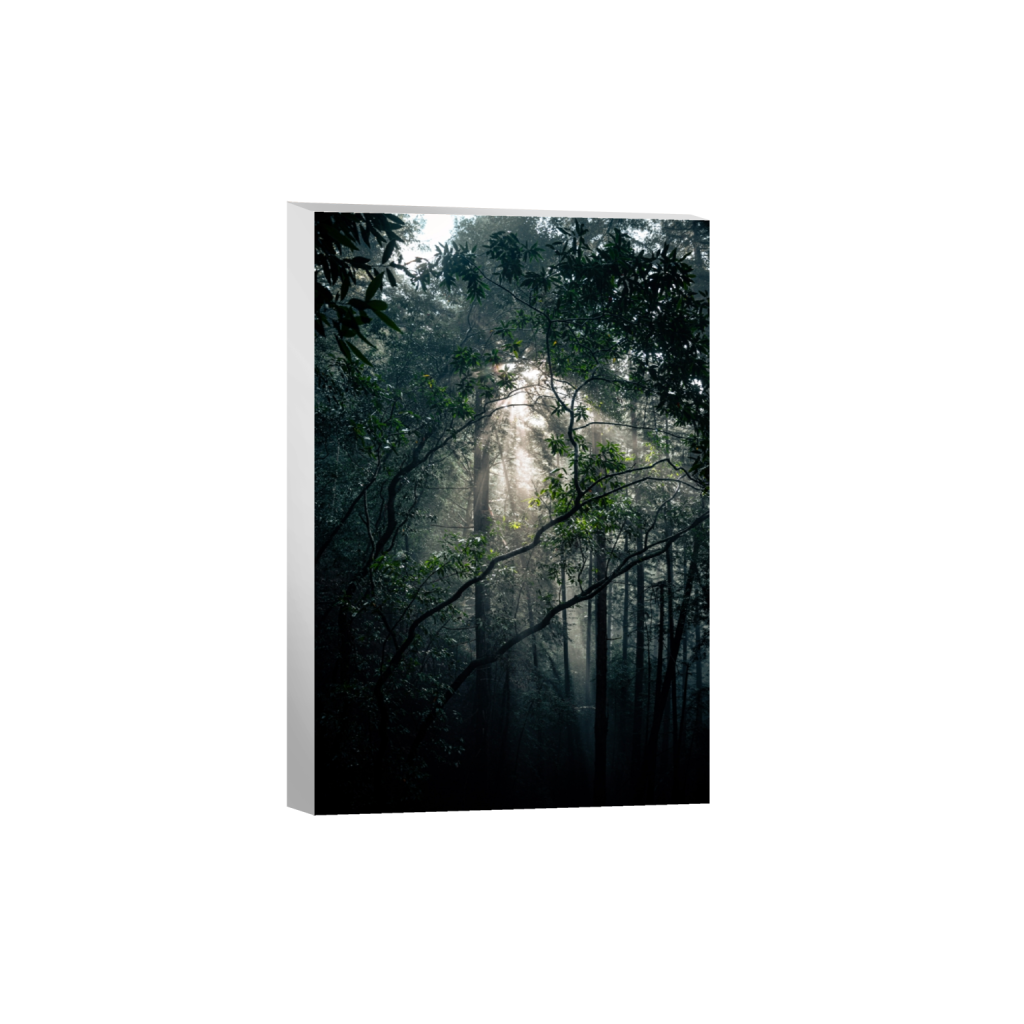 canvas_rectangle2_3_0_0_4160_6240_0_false_ffffff_0_0.png