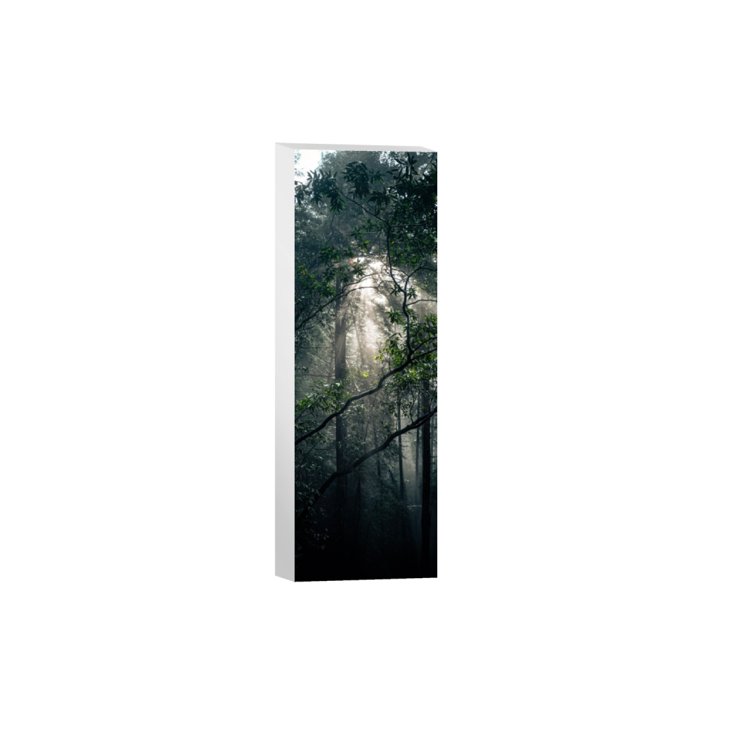 canvas_rectangle1_3_1040_0_2080_6240_0_false_ffffff_0_0.png