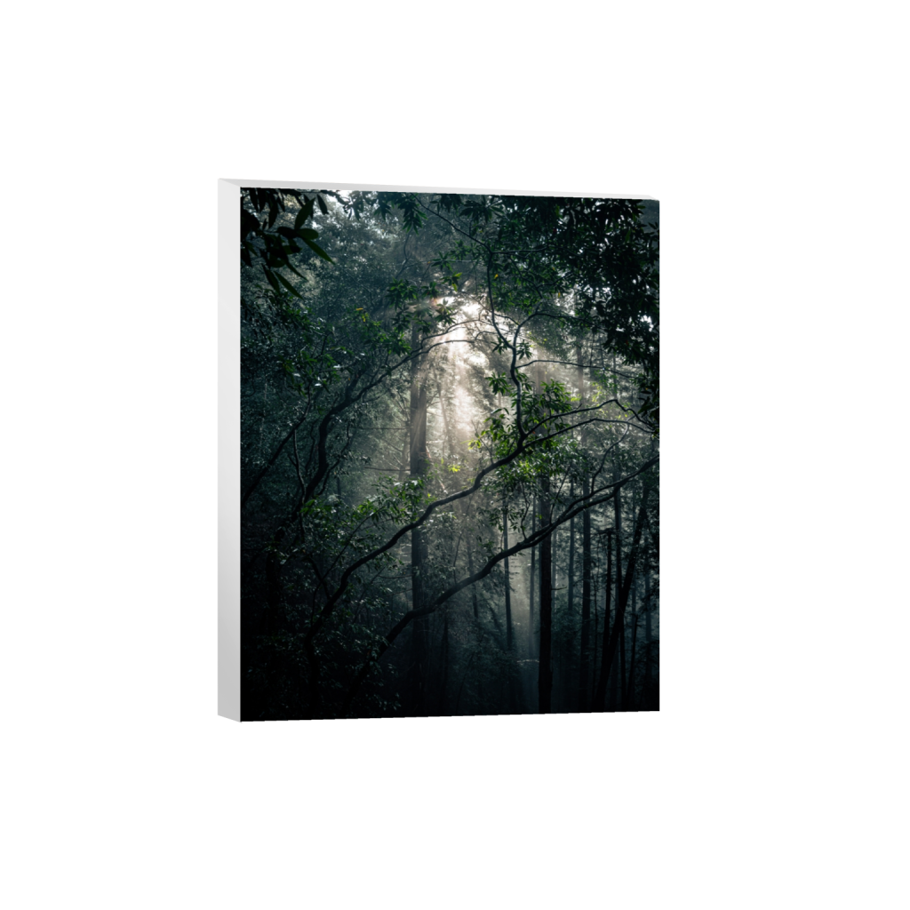 canvas_rectangle4_5_0_520_4160_5200_0_false_ffffff_0_0.png
