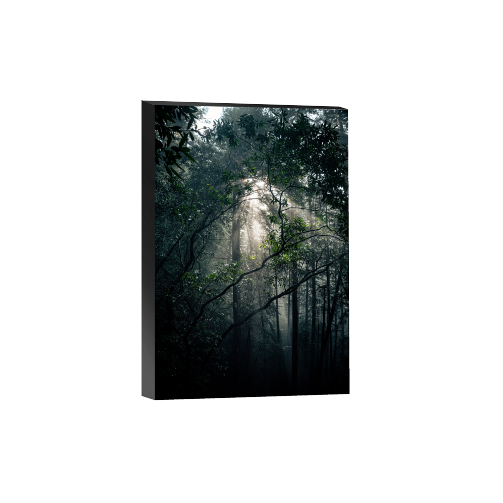 standout_rectangle2_3_0_0_4160_6240_0_false_ffffff_0_0.png