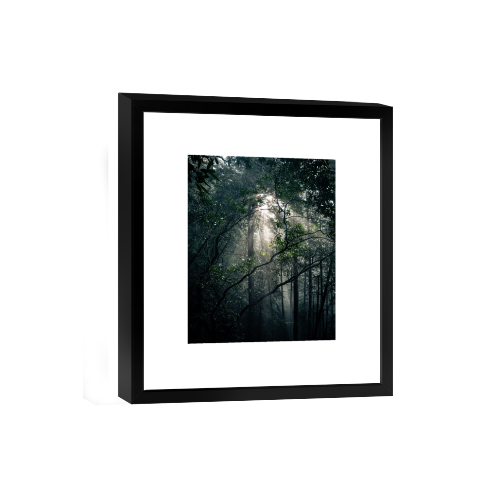 smartframe_rectangle4_5_0_520_4160_5200_0_false_ffffff_0_0.png