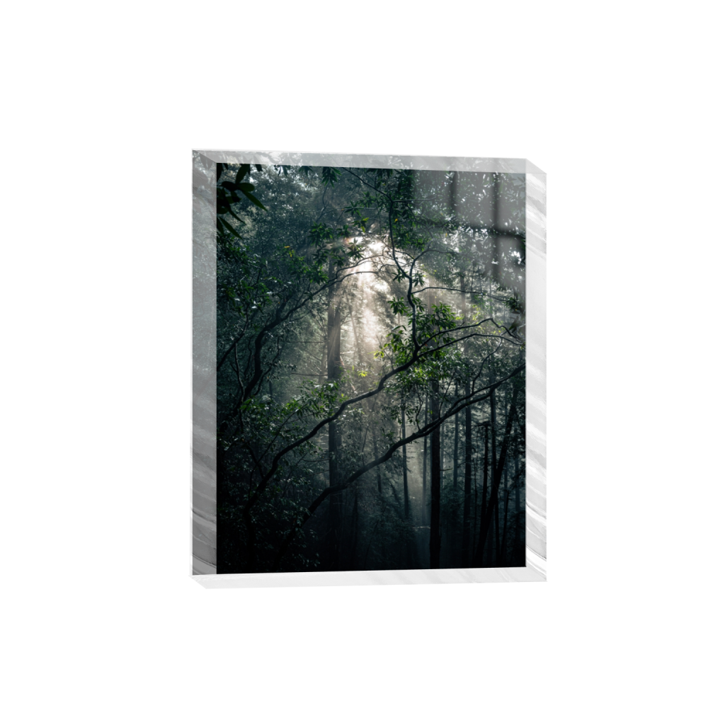 acrylicdesktopprint_rectangle4_5_0_520_4160_5200_0_false_ffffff_0_0.png