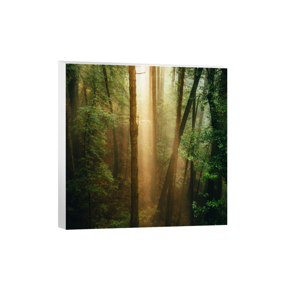 canvas_square_0_938_3752_3752_0_false_ffffff_0_0.png
