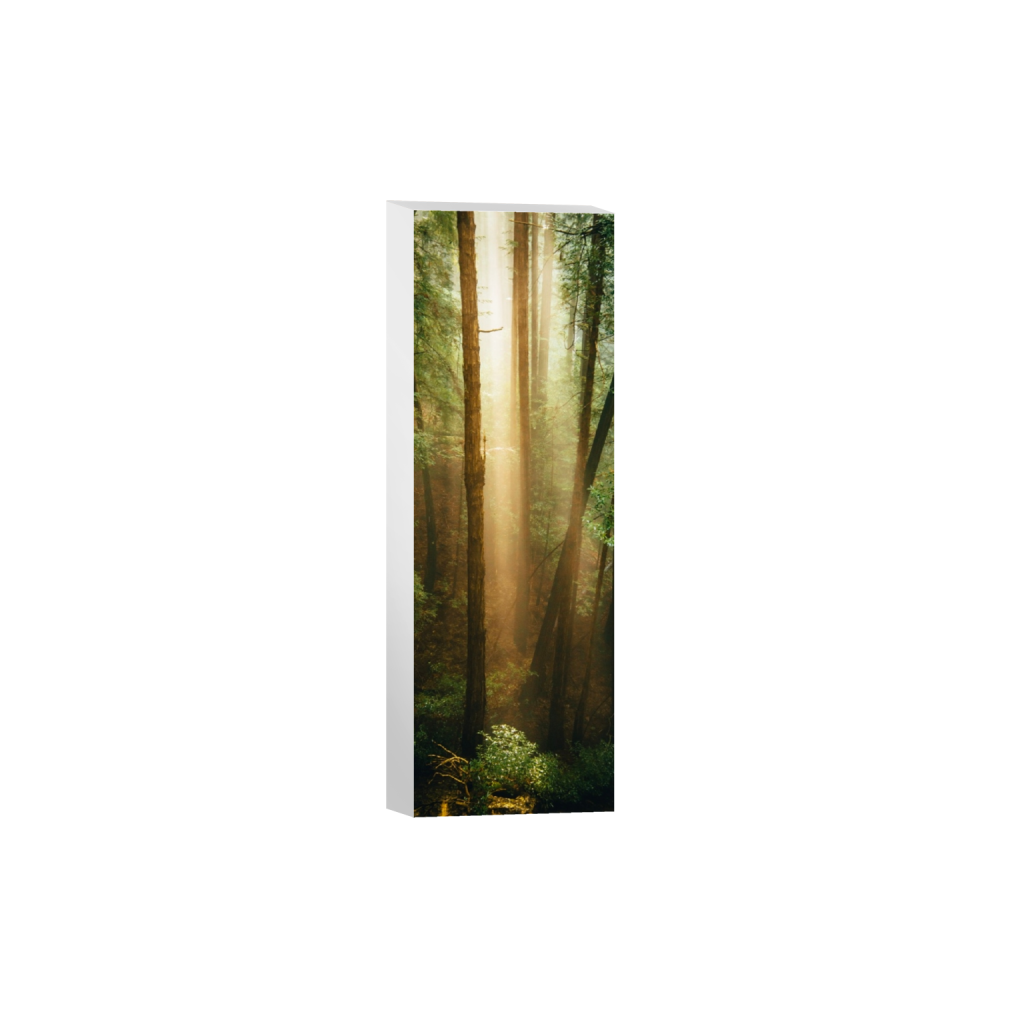 canvas_rectangle1_3_938_0_1876_5628_0_false_ffffff_0_0.png