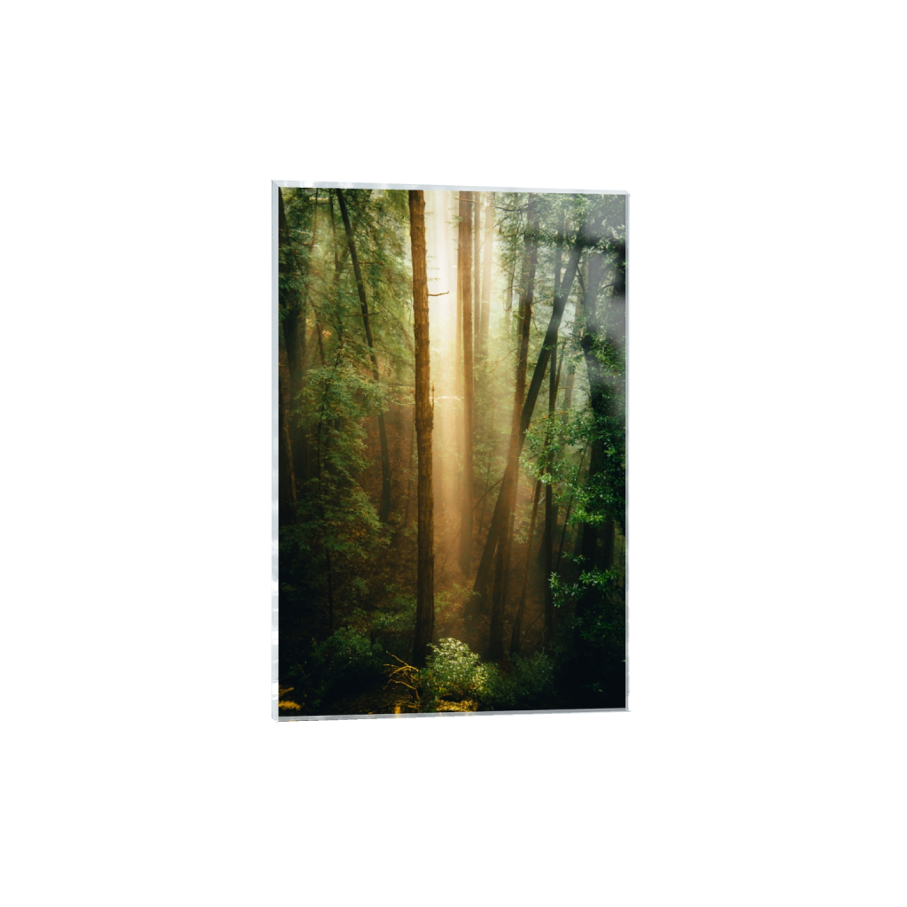 acrylicprint_rectangle2_3_0_0_3752_5628_0_false_ffffff_0_0.png