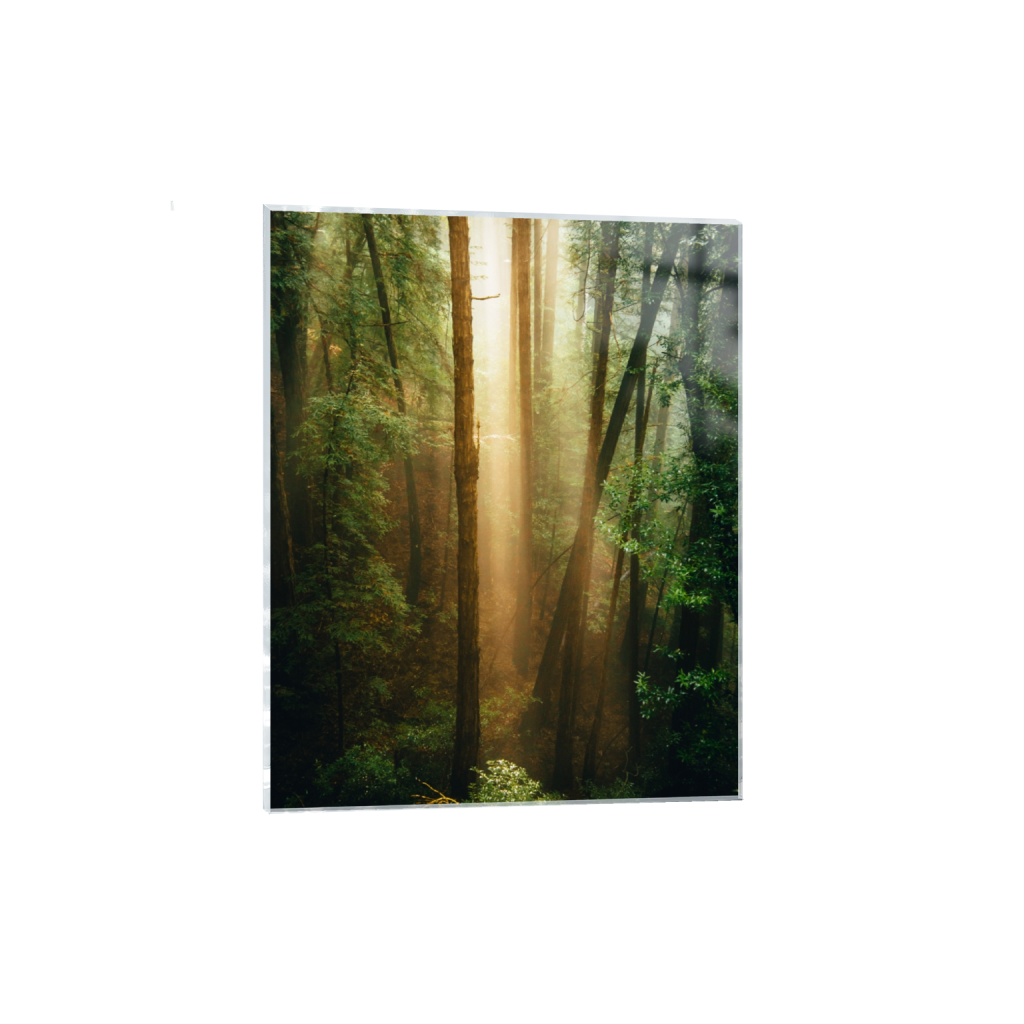 acrylicprint_rectangle4_5_0_469_3752_4690_0_false_ffffff_0_0.png