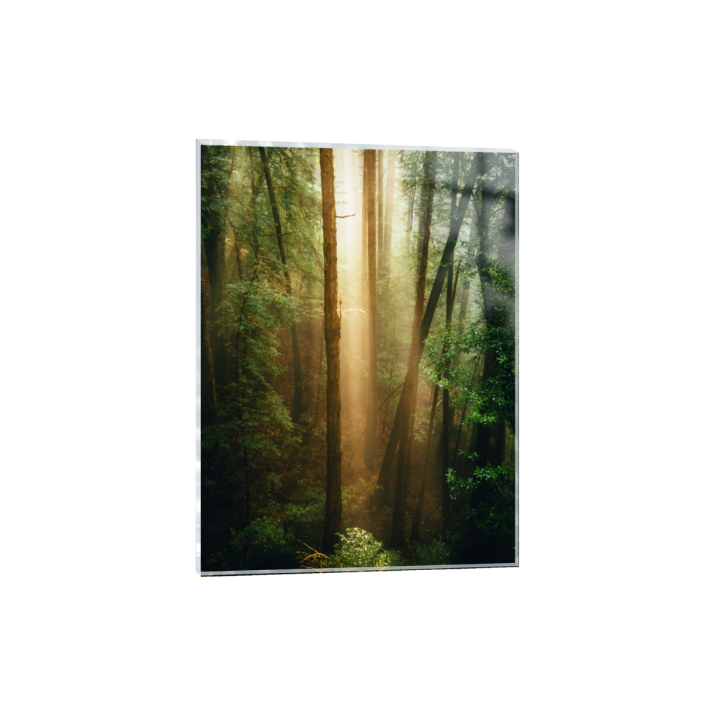 acrylicprint_rectangle3_4_0_312_3752_5002_0_false_ffffff_0_0.png