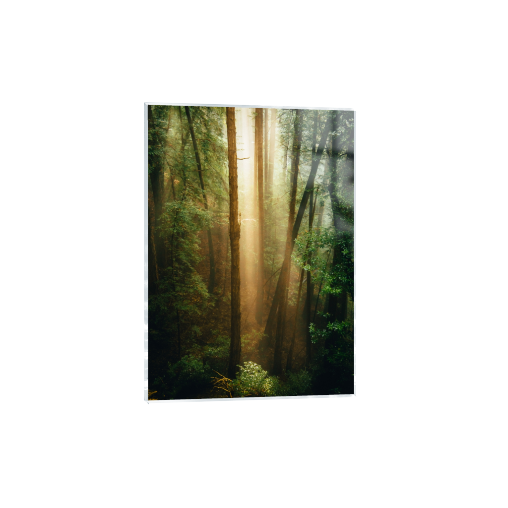 acrylicprint_rectangle5_7_0_187_3752_5252_0_false_ffffff_0_0.png