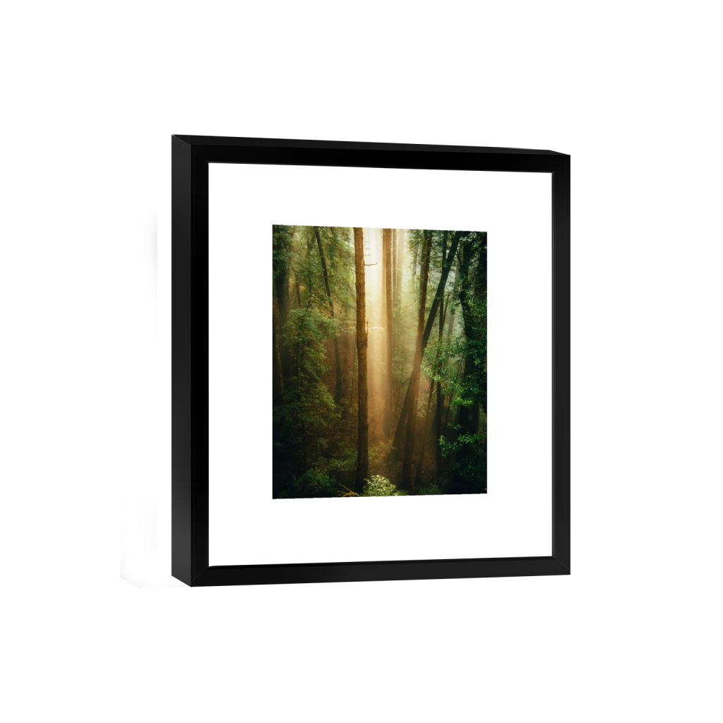 smartframe_rectangle4_5_0_469_3752_4690_0_false_ffffff_0_0.png