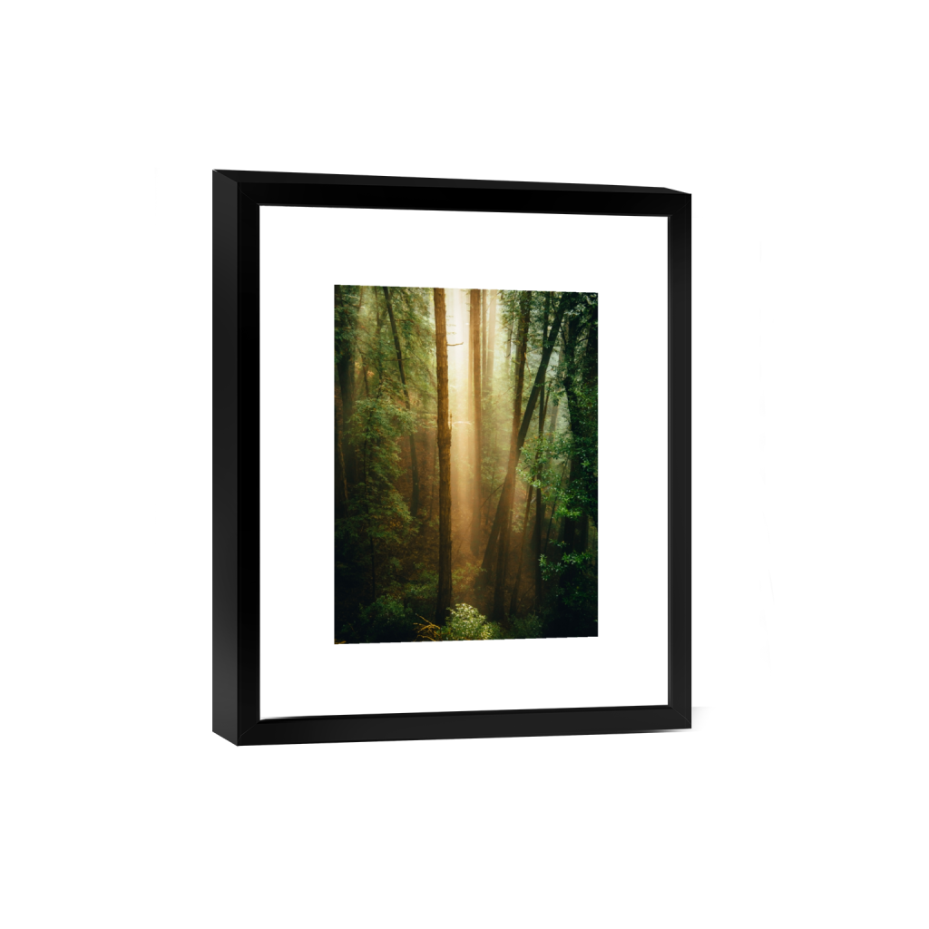 smartframe_rectangle3_4_0_312_3752_5002_0_false_ffffff_0_0.png