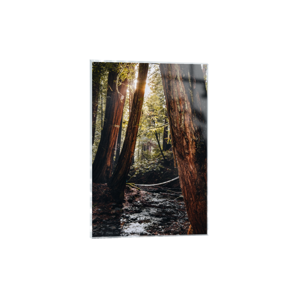 acrylicprint_rectangle2_3_346_0_3466_5200_0_false_ffffff_0_0.png