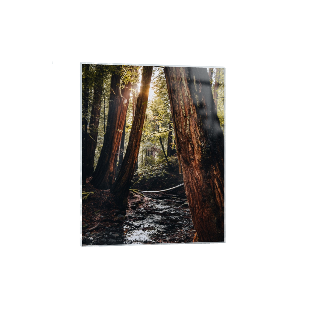 acrylicprint_rectangle4_5_0_0_4160_5200_0_false_ffffff_0_0.png