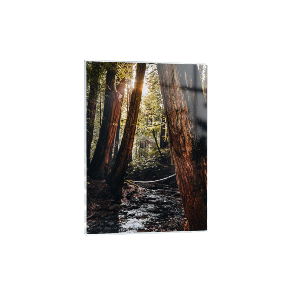 acrylicprint_rectangle5_7_222_0_3714_5200_0_false_ffffff_0_0.png