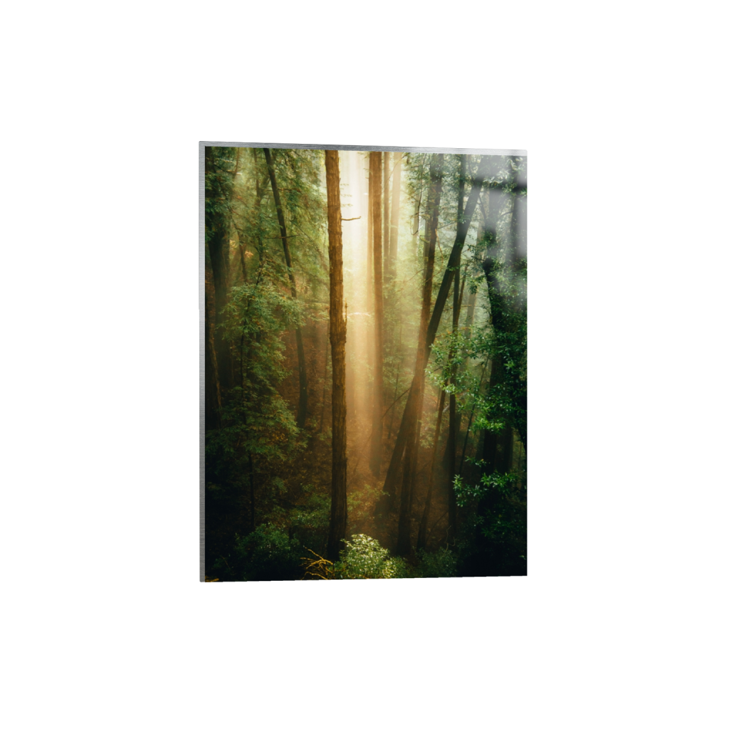 metalprint_rectangle3_4_0_312_3752_5002_0_false_ffffff_0_0.png