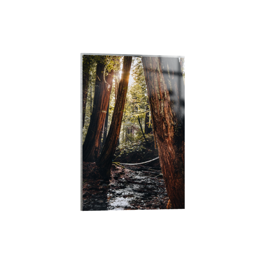 metalprint_rectangle2_3_346_0_3466_5200_0_false_ffffff_0_0.png