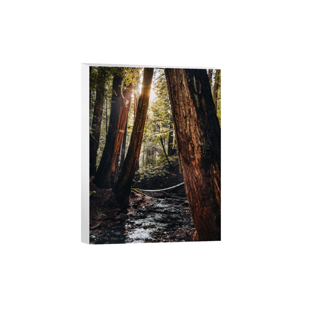 canvas_rectangle3_4_130_0_3900_5200_0_false_ffffff_0_0.png
