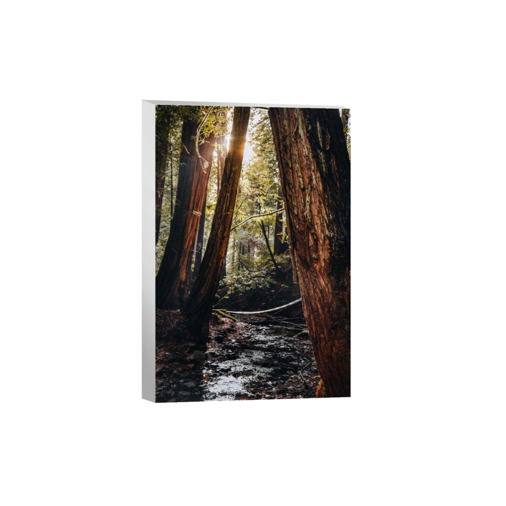 canvas_rectangle2_3_346_0_3466_5200_0_false_ffffff_0_0.png