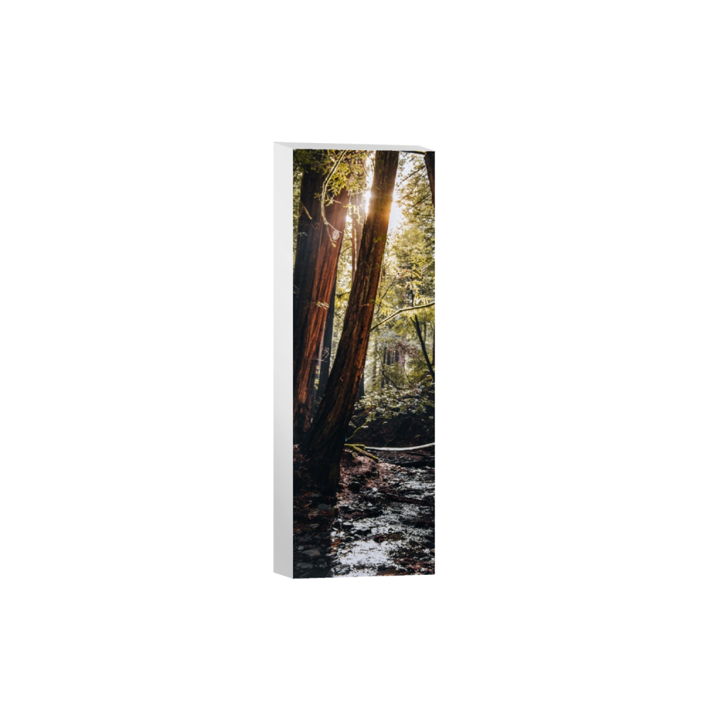 canvas_rectangle1_3_702_0_1733_5200_0_false_ffffff_0_0.png